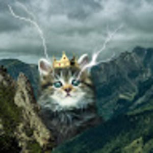 Meet your Posher, Marcus